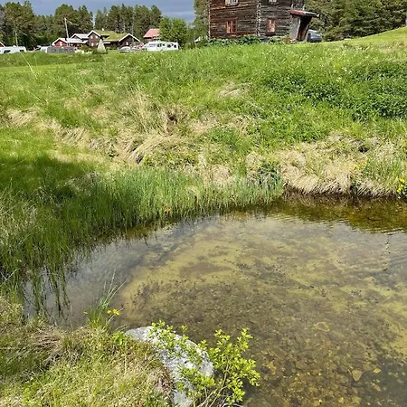 Gammelstua Ved Femund Elga